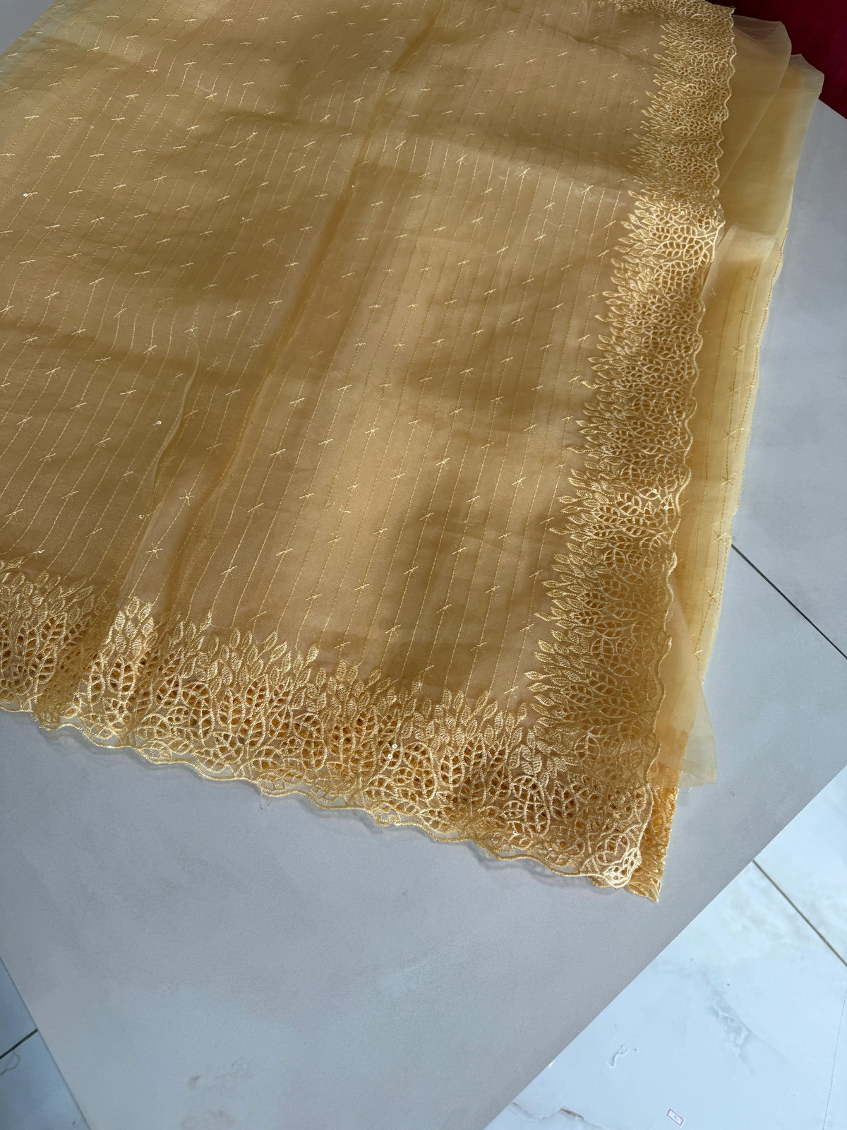 Soft Organza Saree/ Cw055