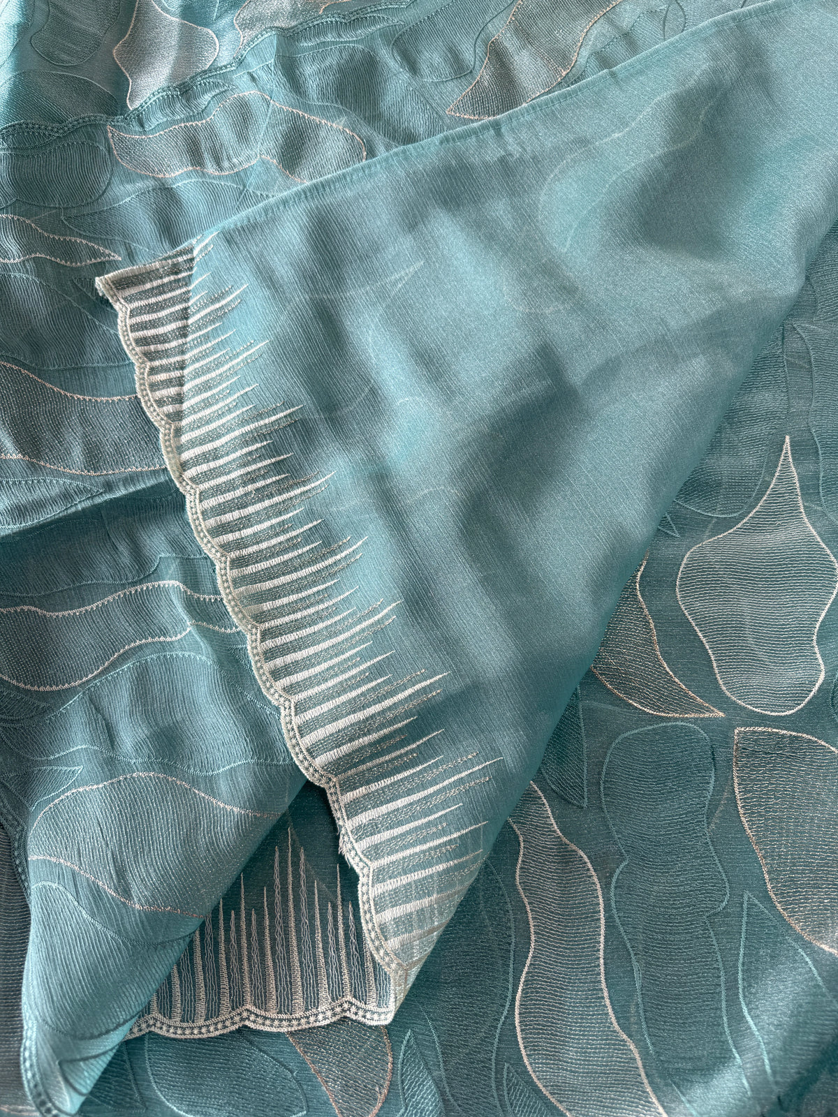 organza saree/ CW473