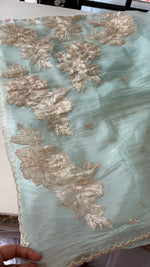 Crushed Organza Saree/ AM118