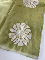 Glass Organza Saree/ LK35