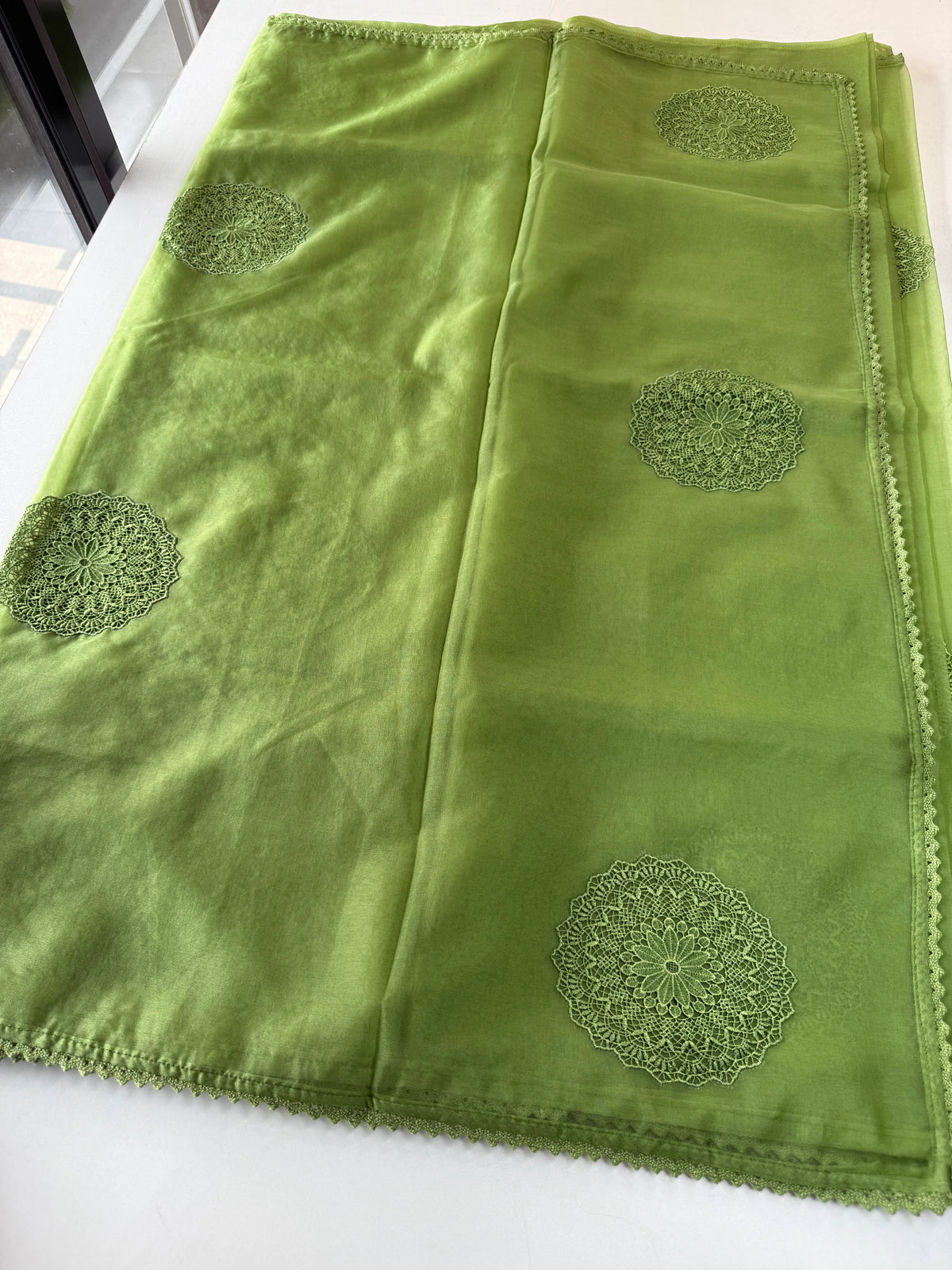 Soft organza saree/ LK83