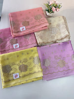 organza saree/ SS100