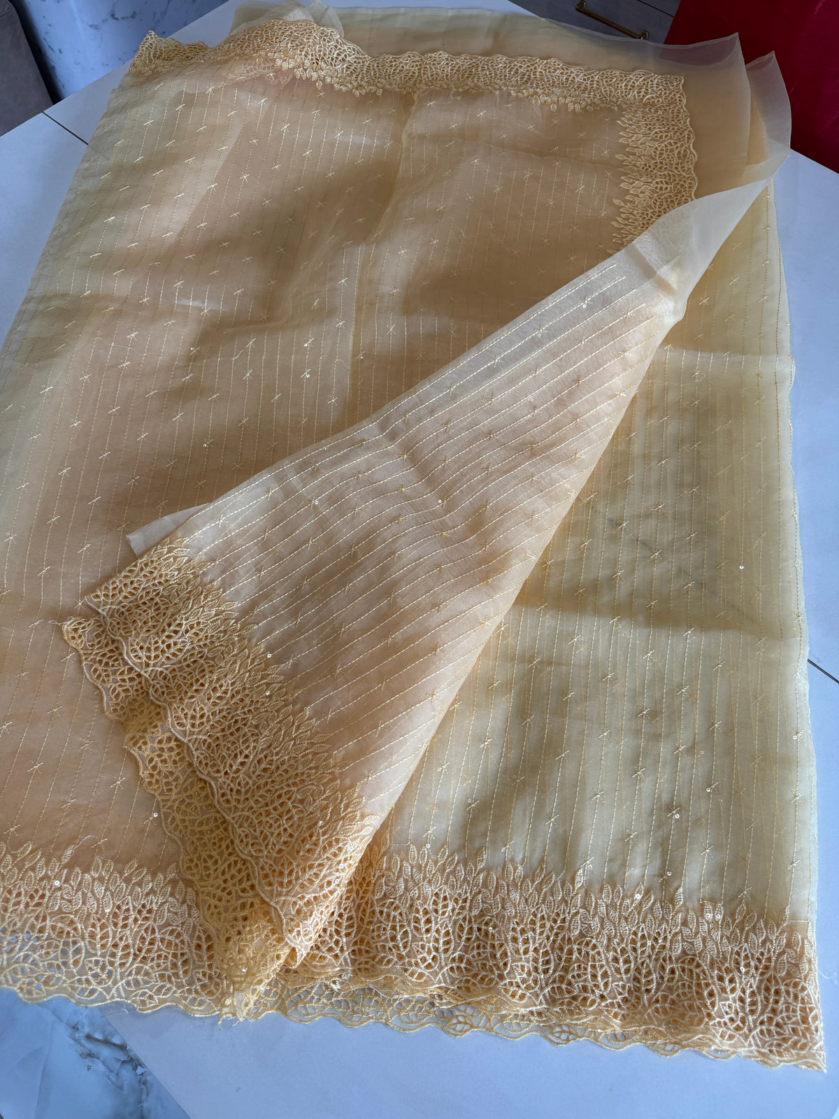 Soft Organza Saree/ Cw055