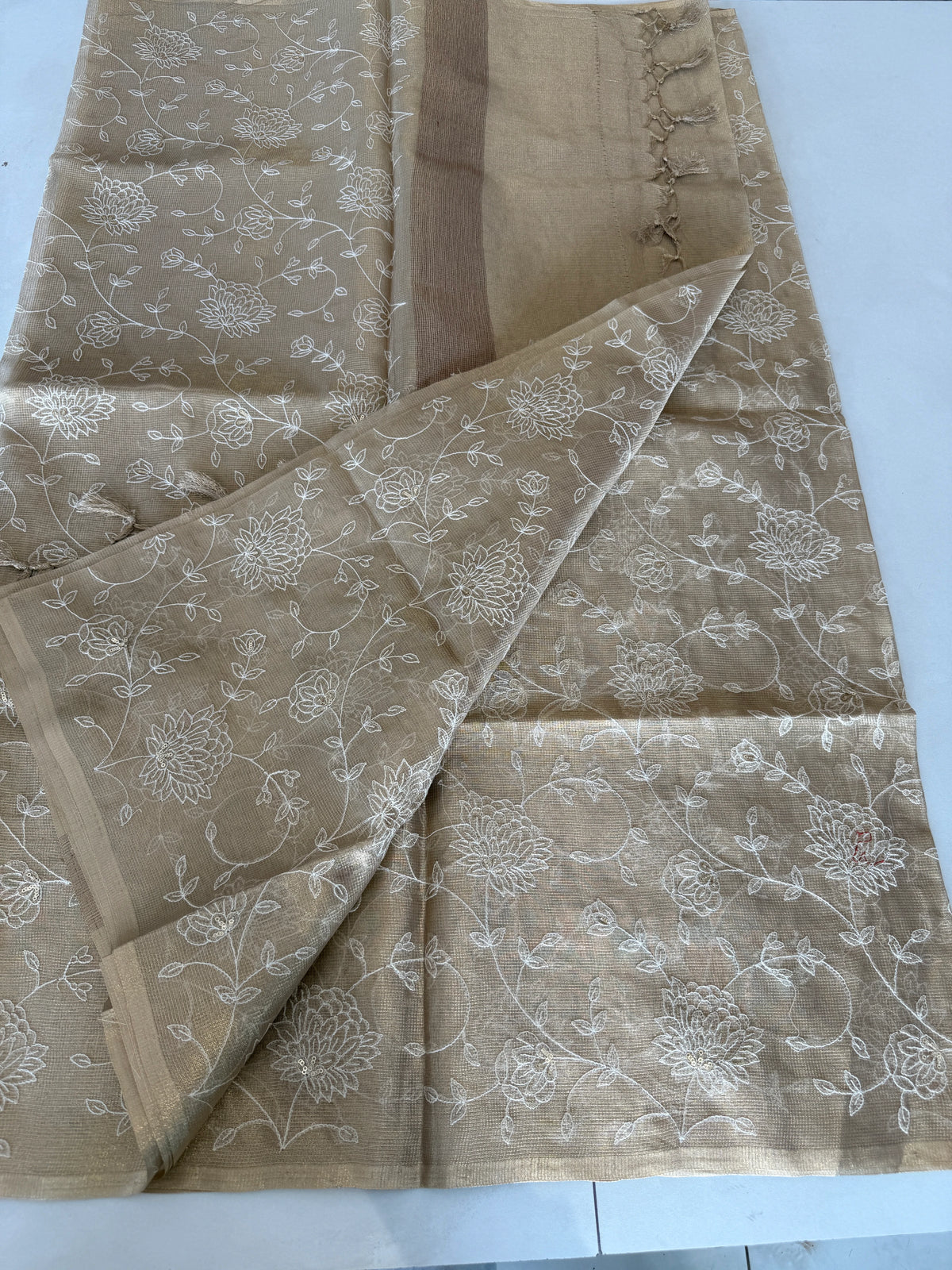 Tissue Saree/RKF37