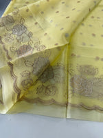 organza saree/ SS100