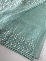 Soft Organza Saree/ CW533