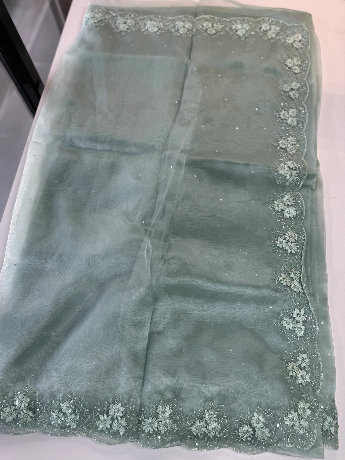 Glass Organza Saree/ HW23