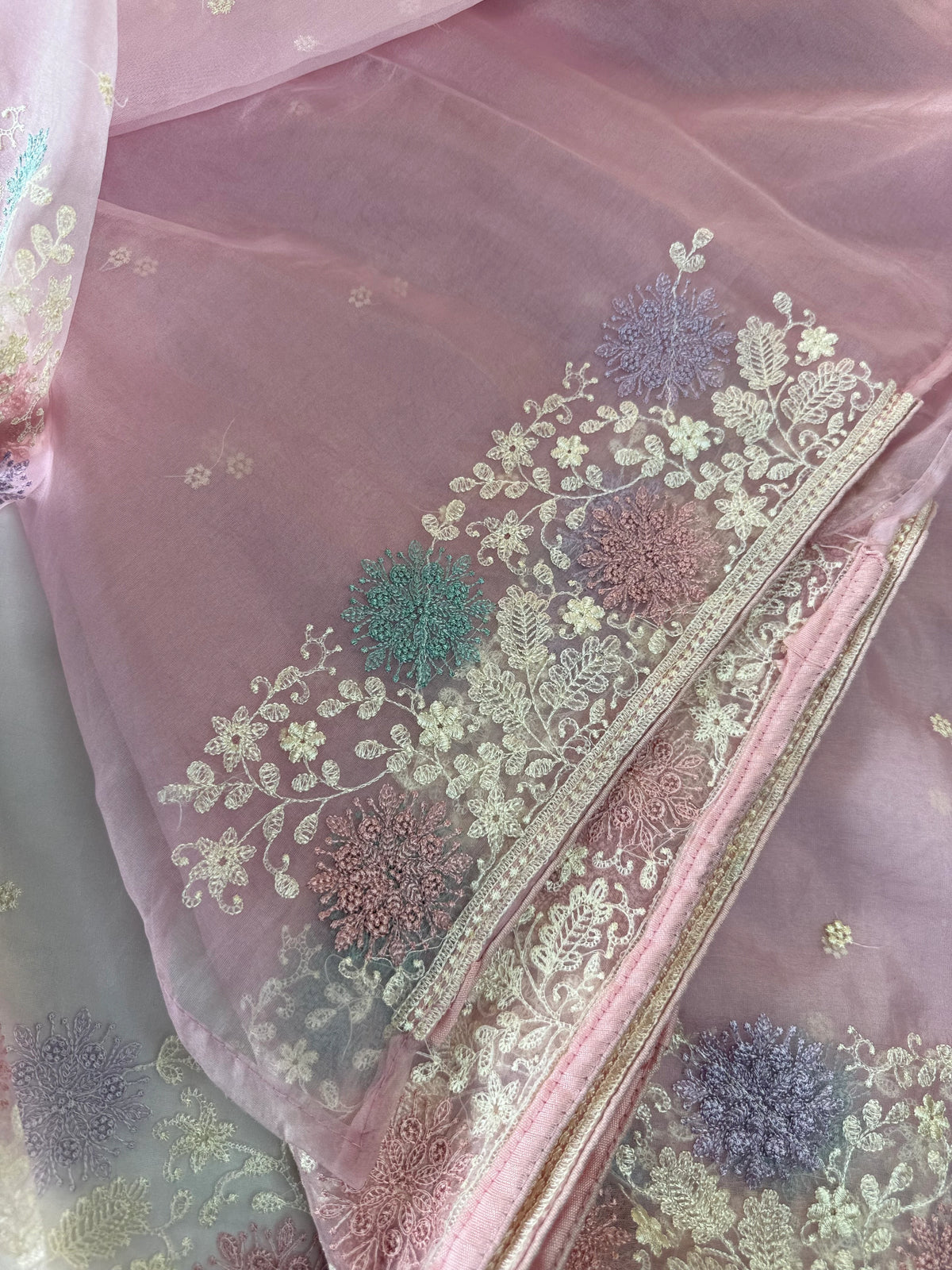 Soft oragnza saree/ CW1055