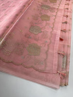 organza saree/ SS100