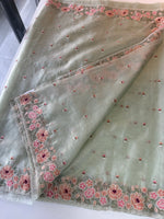 Platinum crushed Oragnza saree/BB519