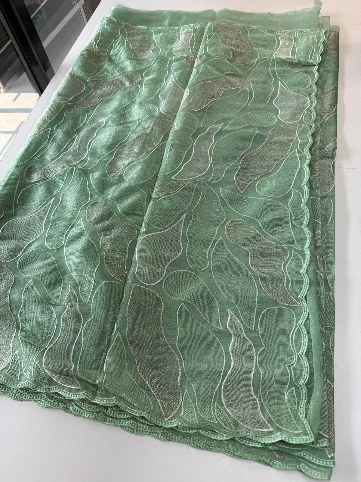 organza saree/ CW473