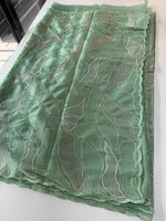 organza saree/ CW473