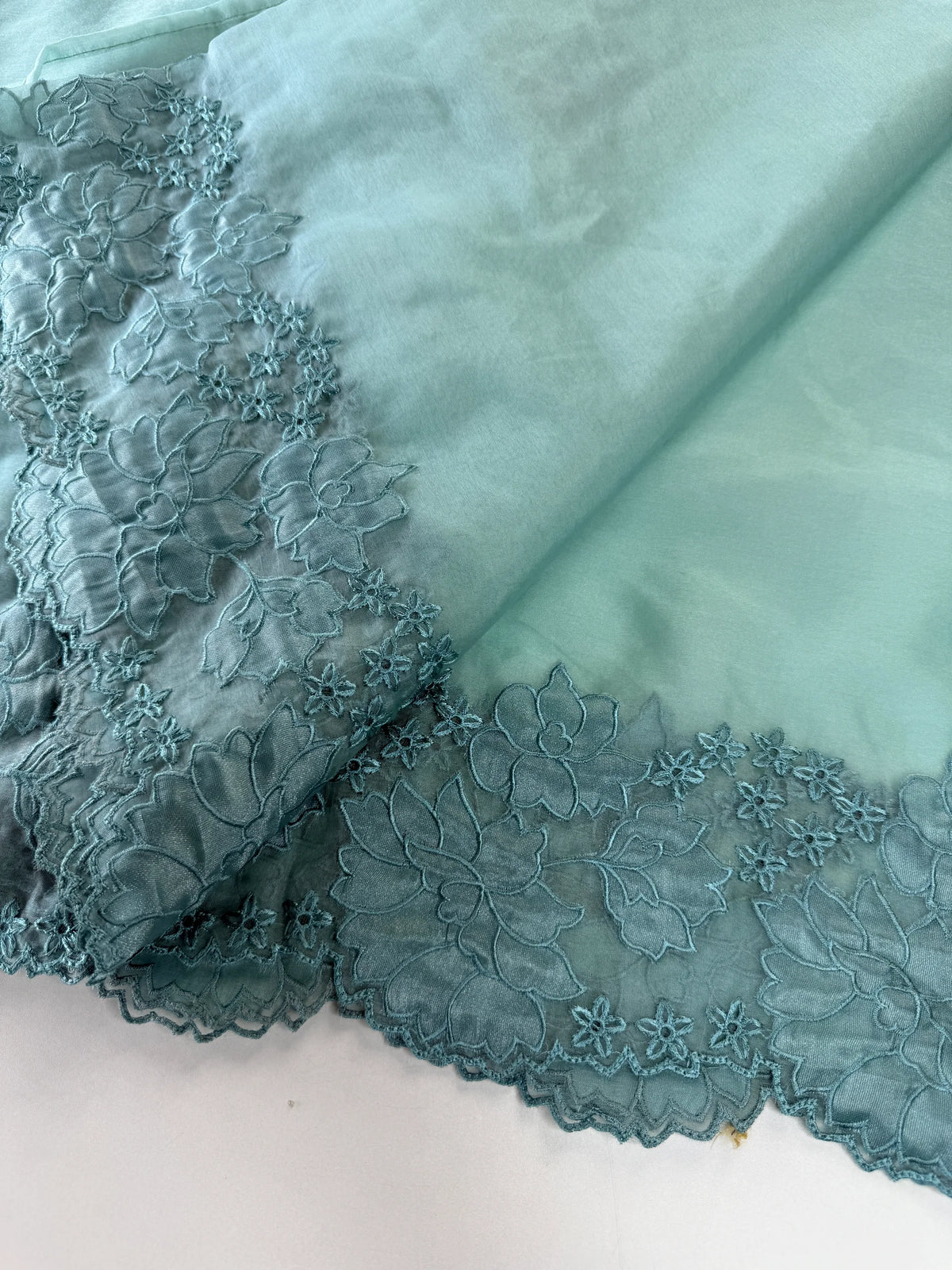 Soft Organza Saree/ 287B