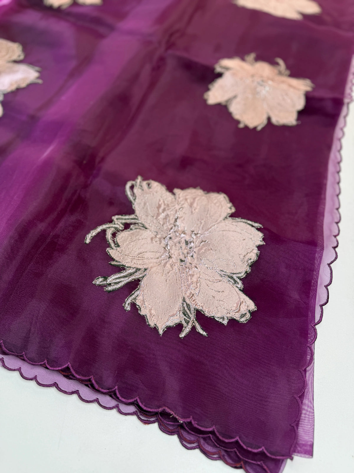 Glass Organza Saree/ KB24