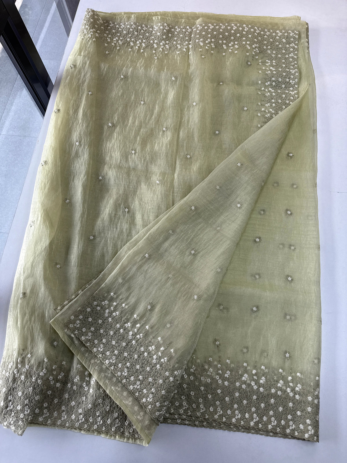 Soft Organza Saree/ CW533