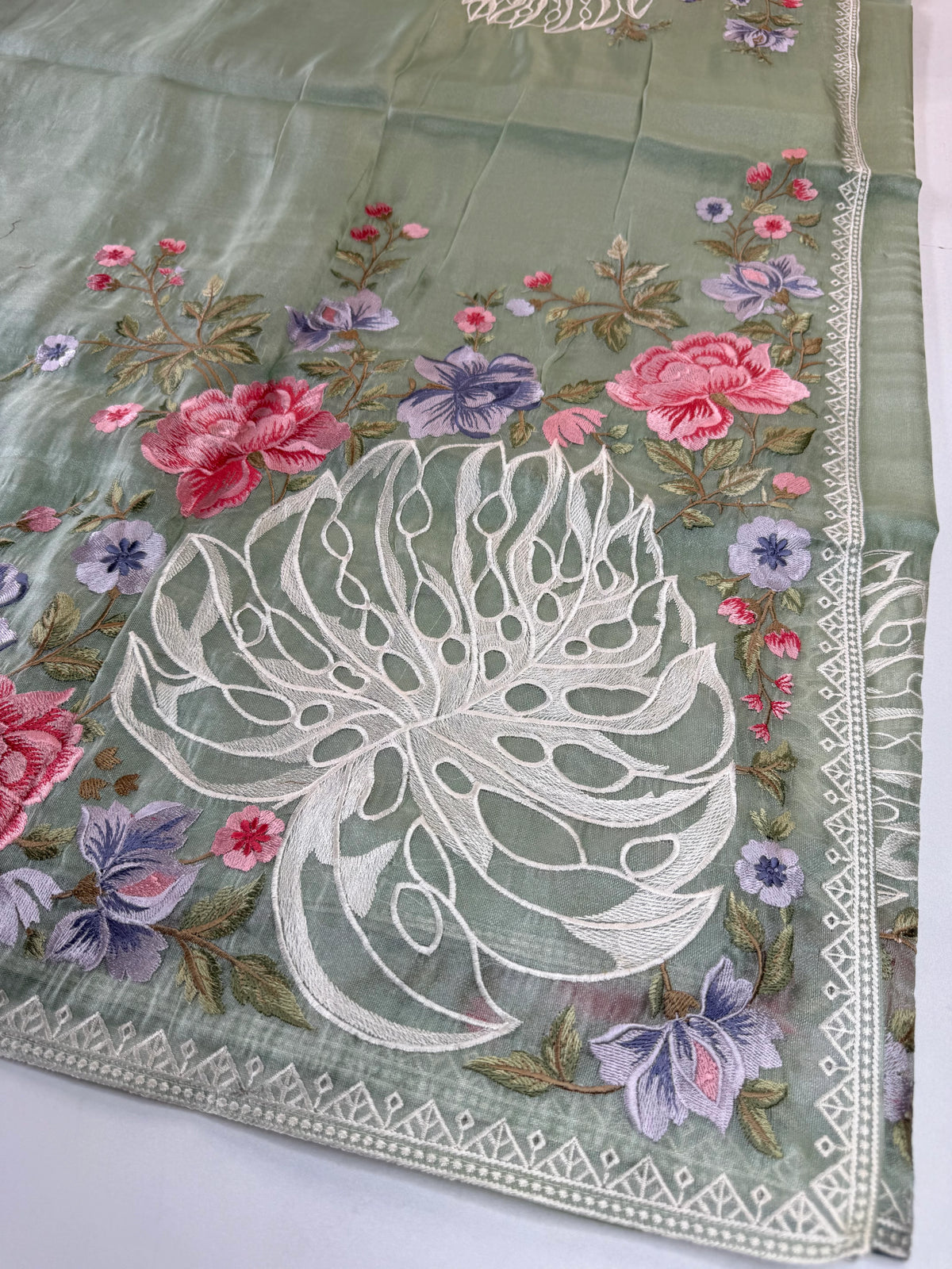 Tissue organza saree /RKF07