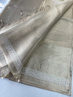 Tissue saree/ SN171