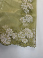 soft oragnza saree/ 287D