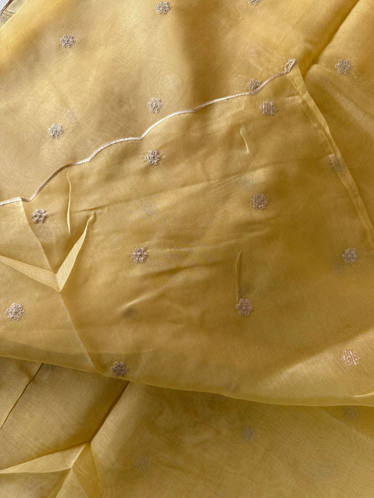 Chanderi Tissue Blend saree/ RM54