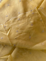 Chanderi Tissue Blend saree/ RM54