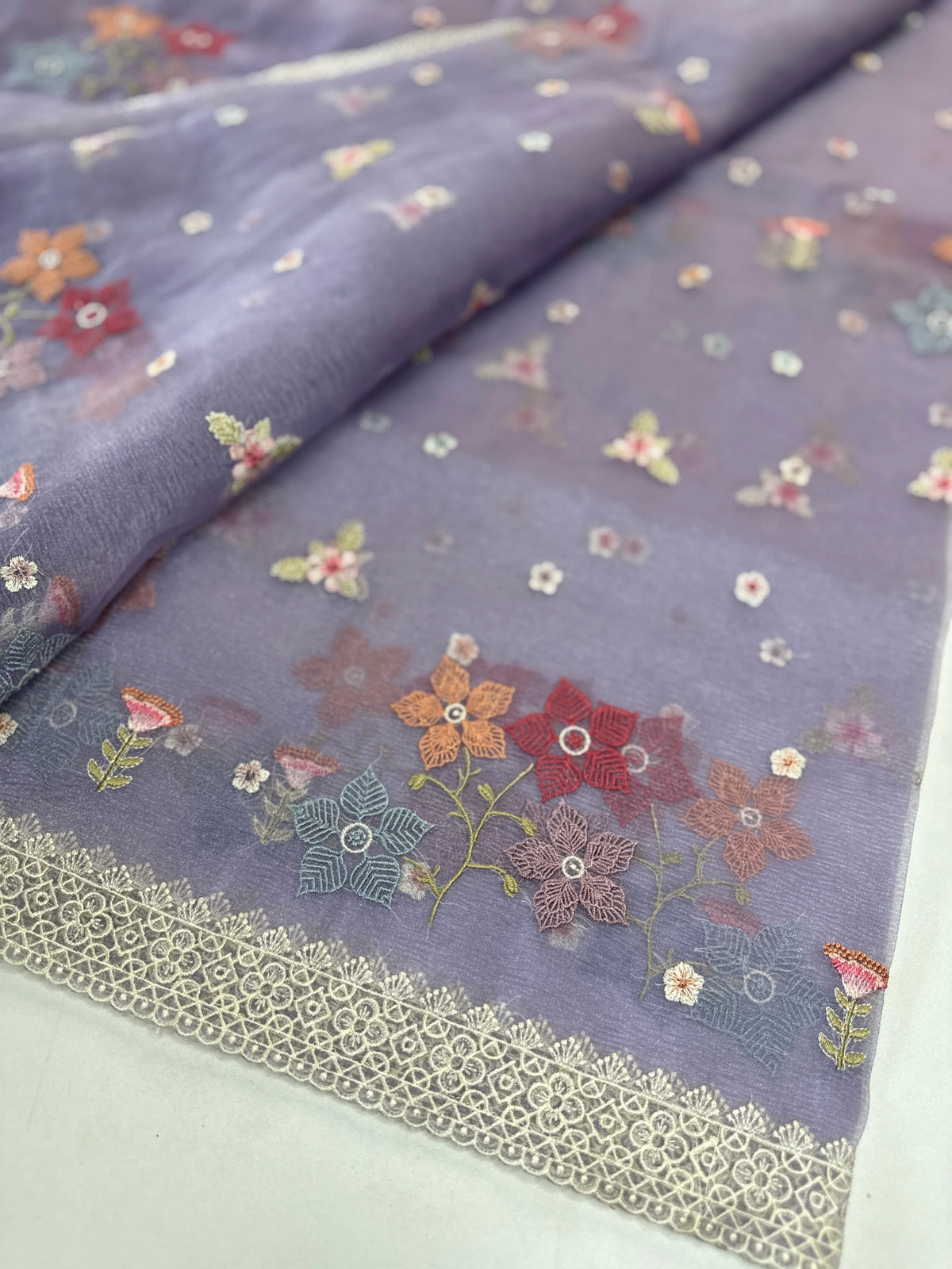 Crushed Tissue Saree/ CW323