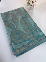 Organza saree/A893