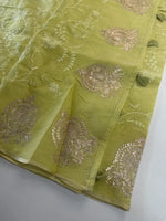 Silky kotta / ACN02/B