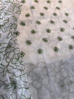 Soft OrganzaSaree/ CW311
