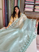 Glass Organza Saree/ HW23