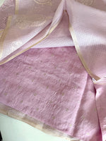 Silky kotta / ACN02/B