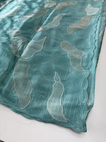 organza saree/ CW473