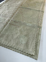 Tissue kotta saree/A6871