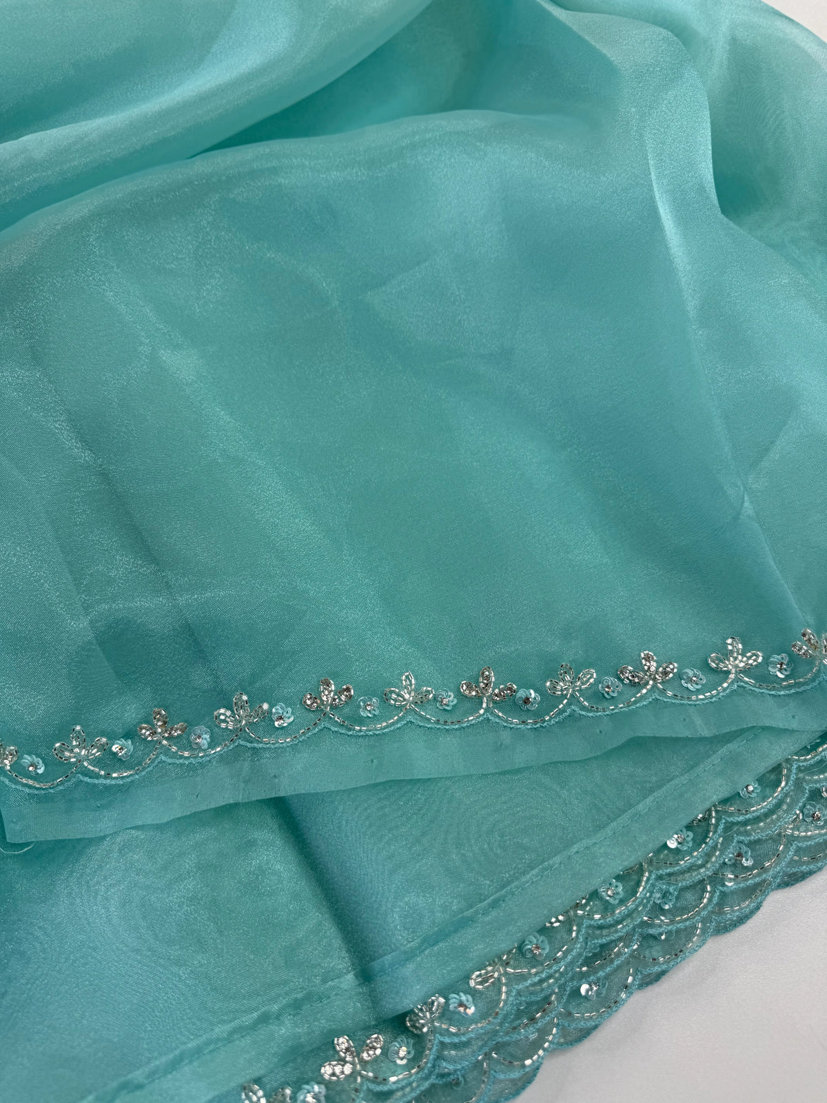 Organza Saree/ HW97