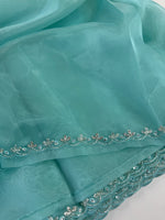 Organza Saree/ HW97