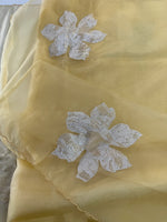 Soft Organza Saree/ LF40