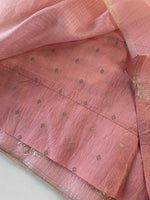 Silky kotta / ACN02/B