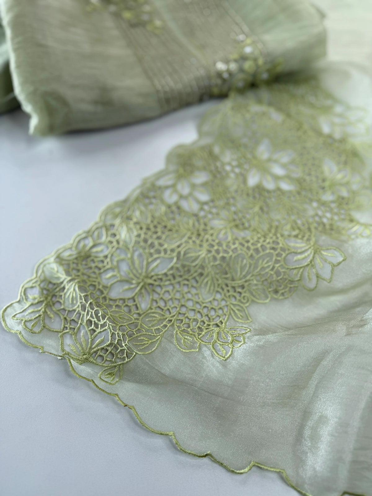 Korean Organza Saree / U4834
