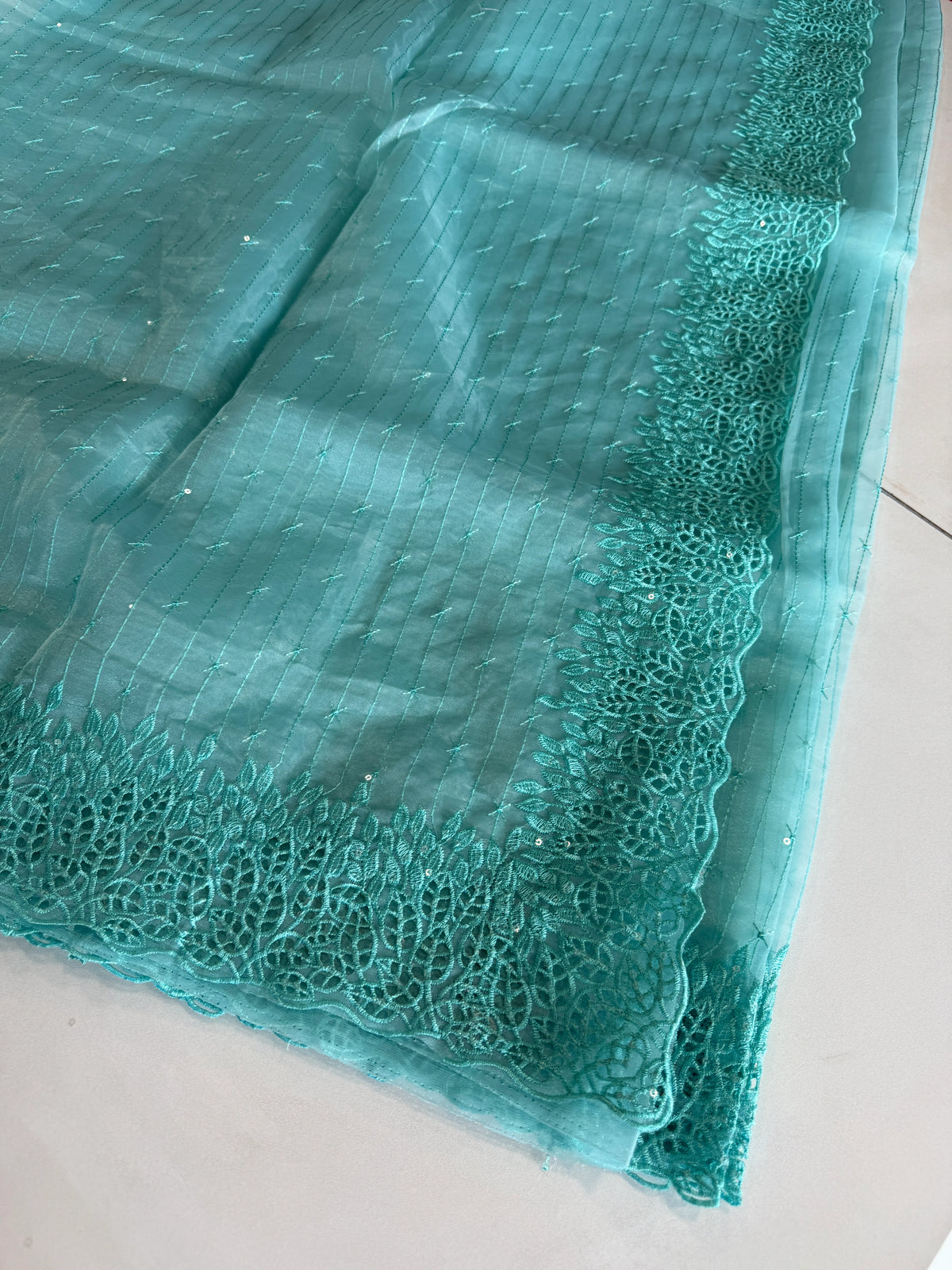 Soft Organza Saree/ Cw055