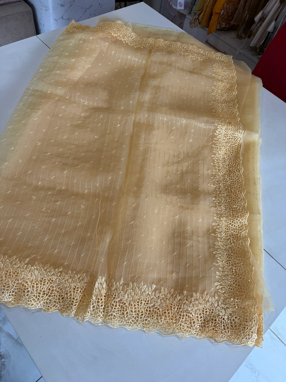 Soft Organza Saree/ Cw055