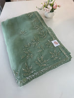 Glass Organza Saree/SP86