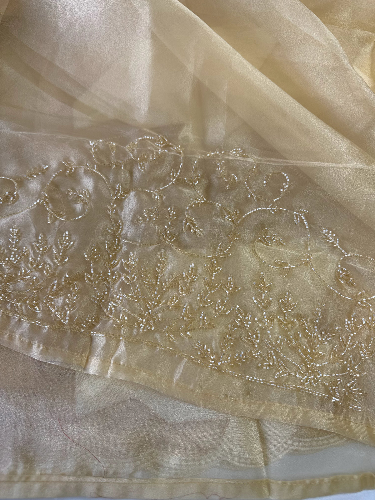 Soft organza Saree / CW330