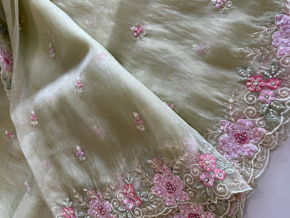 Korean organza saree/ HW595