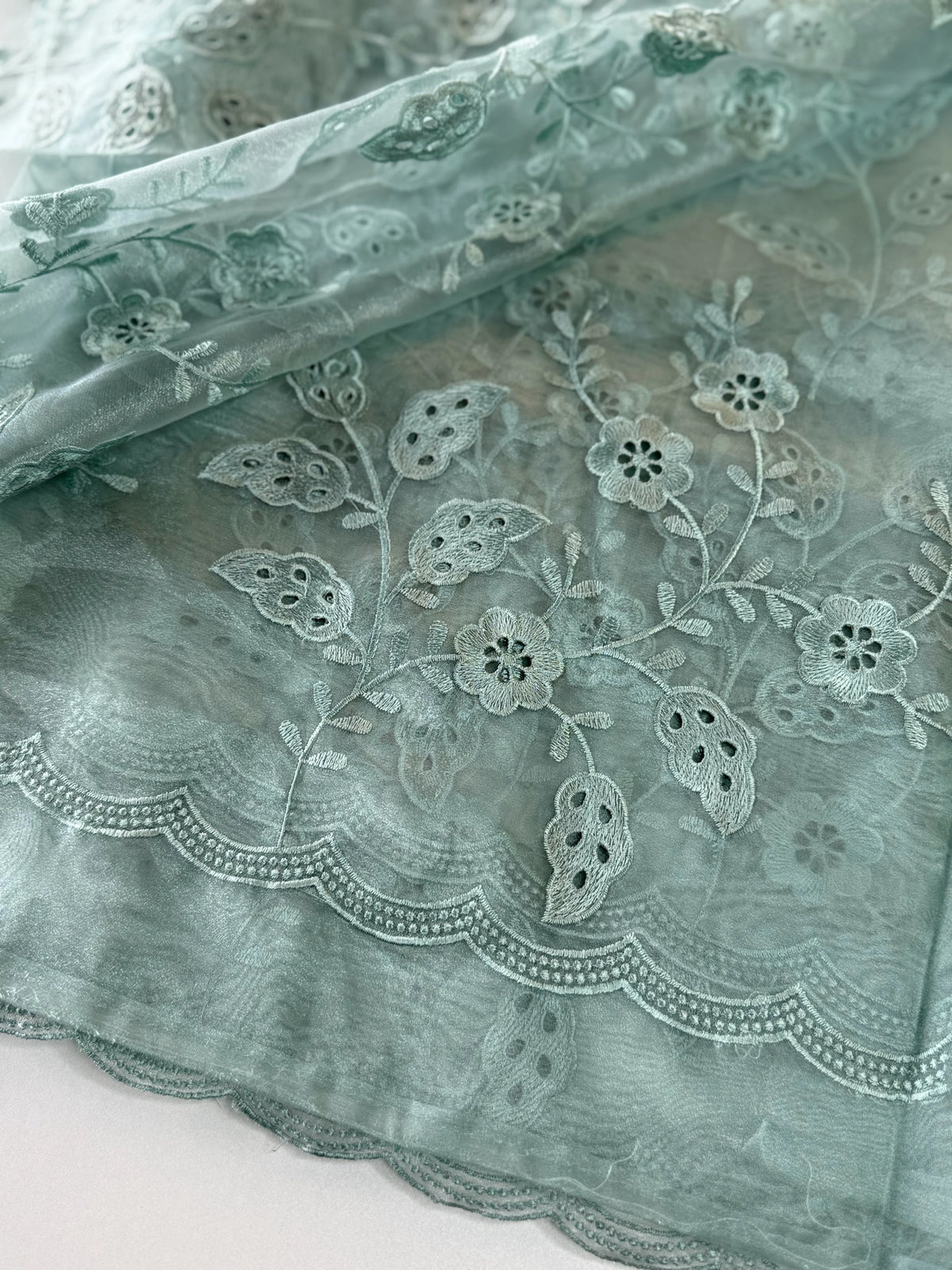 Organza Saree/GCW48