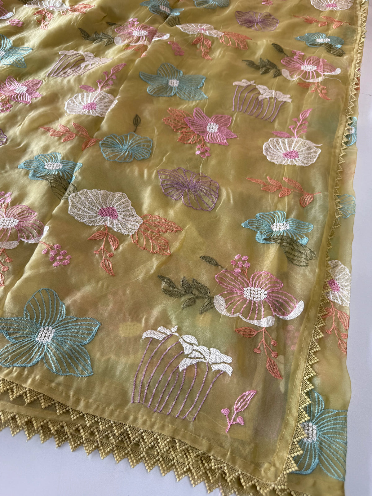 Viscous Organza Saree/ RKF25