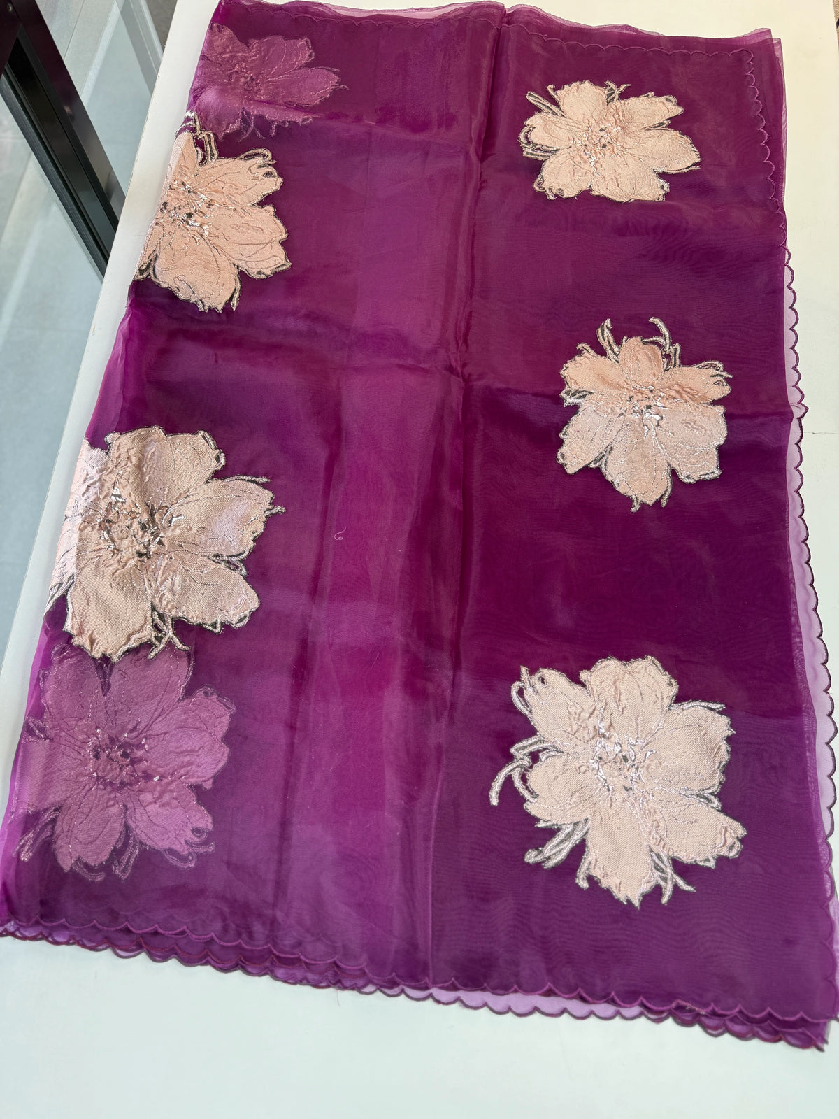 Glass Organza Saree/ KB24
