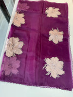 Glass Organza Saree/ KB24
