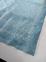Korean organza saree/ Hw557
