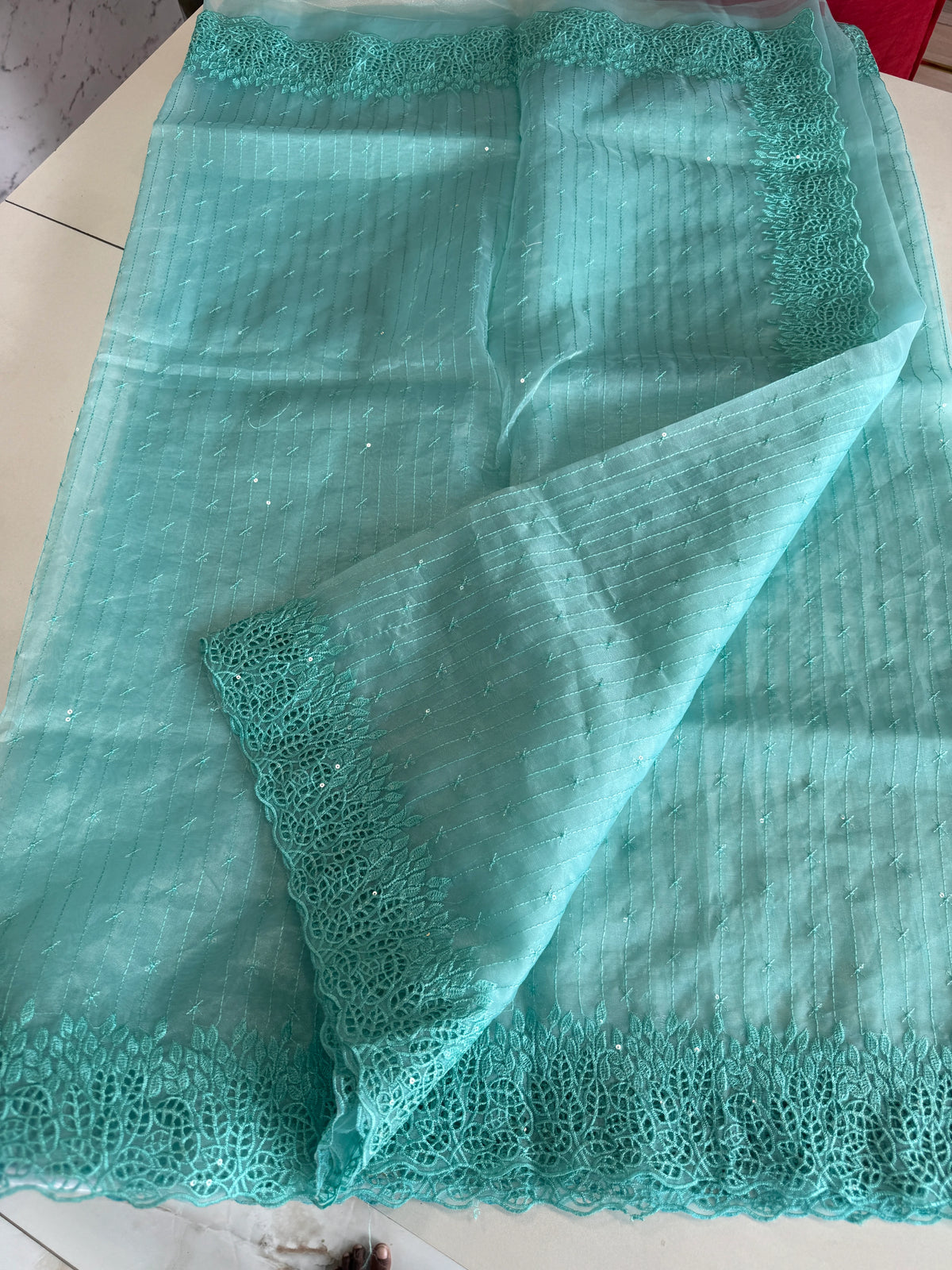 Soft Organza Saree/ Cw055