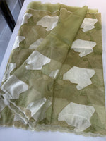 Soft organza Saree / CW330