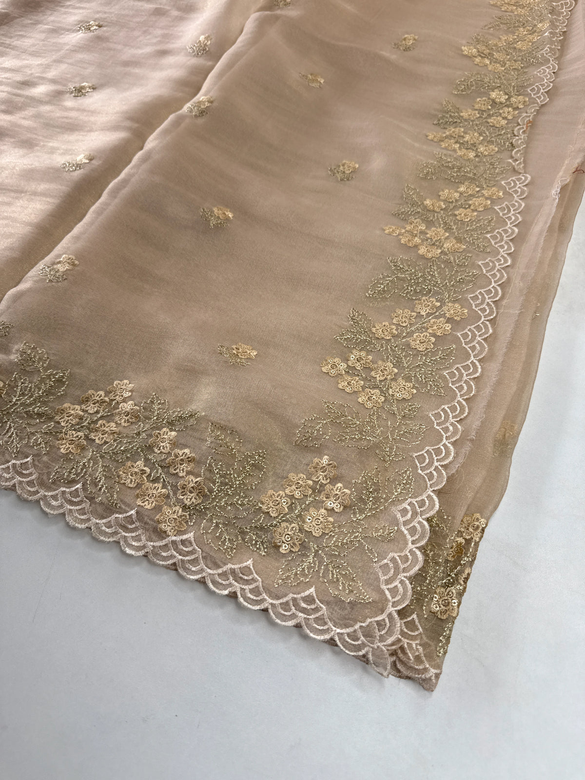 Organza blended saree/ BL924